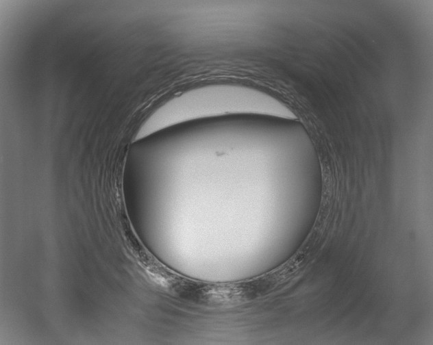 X0000052630415200507011039