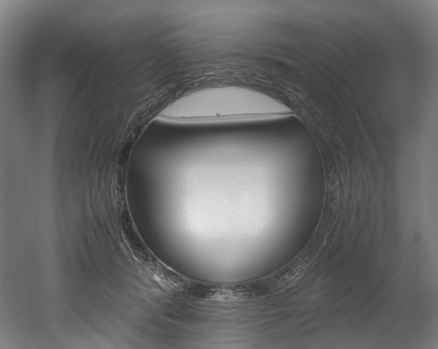 X0000052630416200507011039