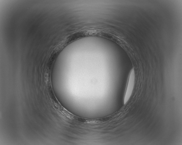 X0000052630417200507011039