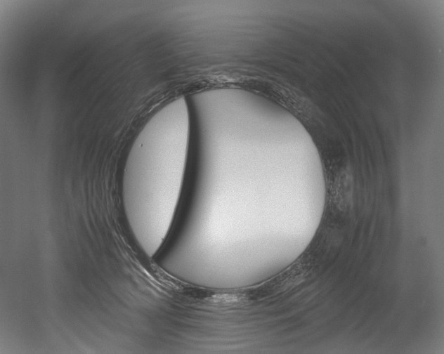 X0000052630418200507011039