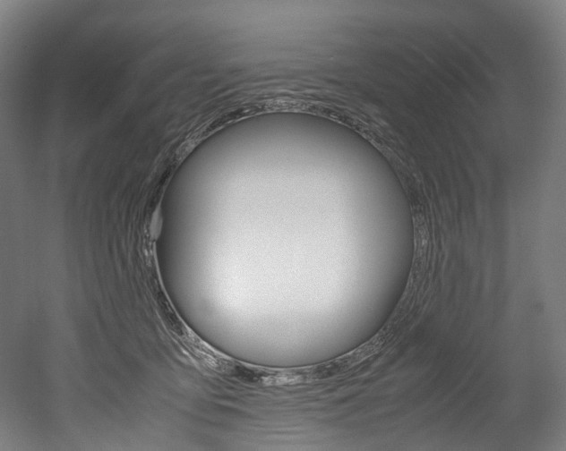 X0000052630419200507011039