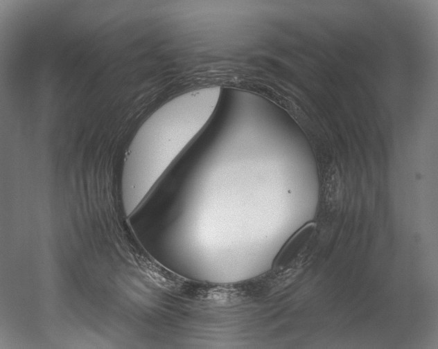 X0000052630420200507011038