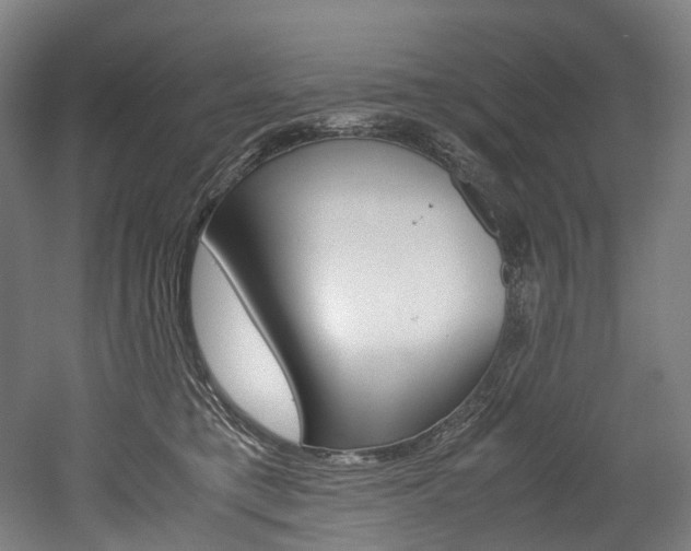 X0000052630421200507011038