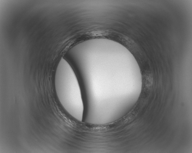 X0000052630422200507011038
