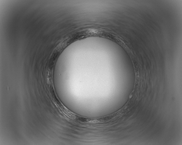 X0000052630423200507011038