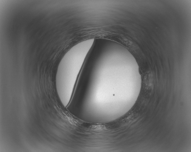 X0000052630424200507011038