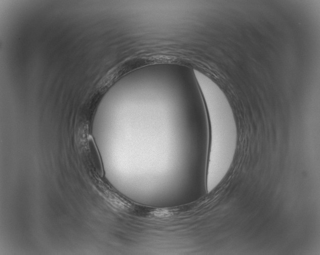X0000052630425200507011038