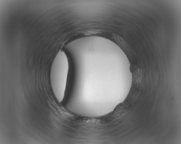 X0000052630426200507011038