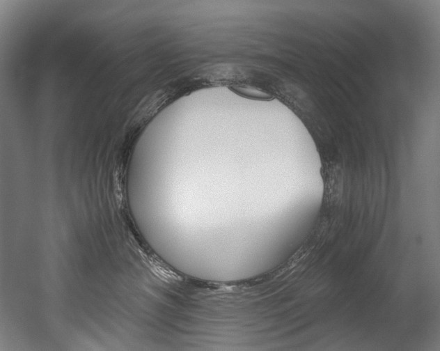 X0000052630430200507011038