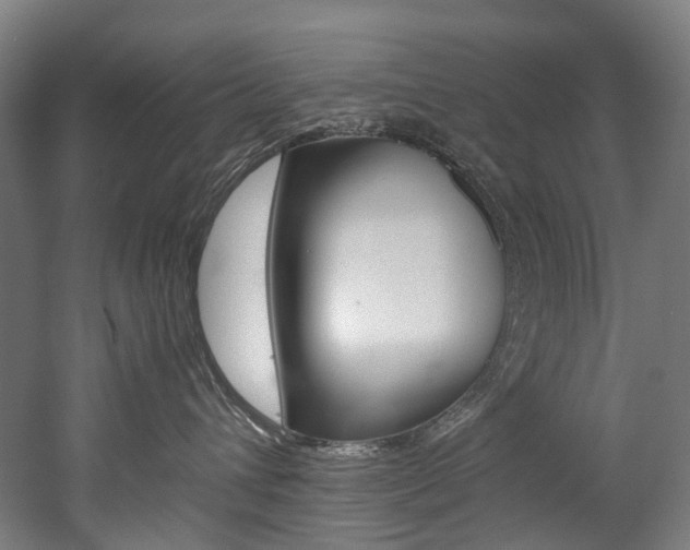 X0000052630432200507011038