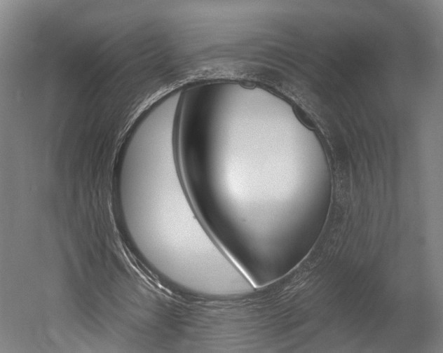 X0000052630434200507011037