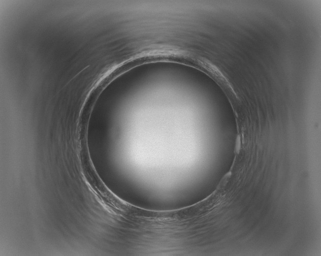 X0000052630436200507011038