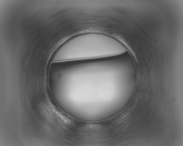 X0000052630437200507011038