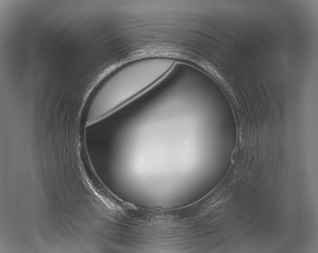 X0000052630438200507011038