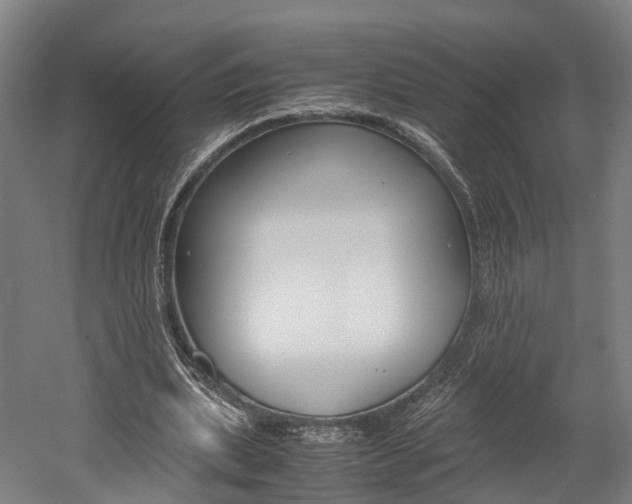 X0000052630439200507011038