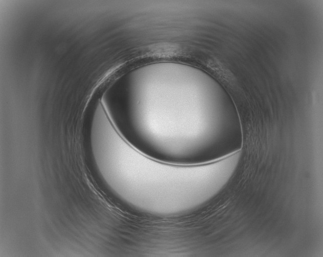 X0000052630440200507011038