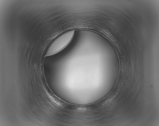 X0000052630441200507011038