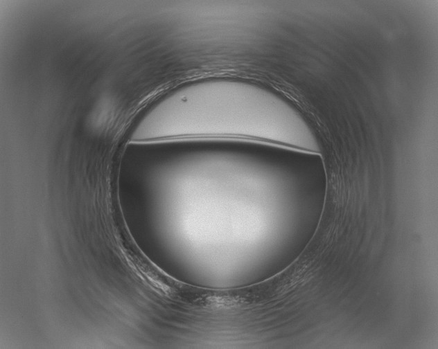 X0000052630442200507011038