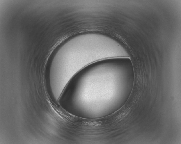 X0000052630443200507011038