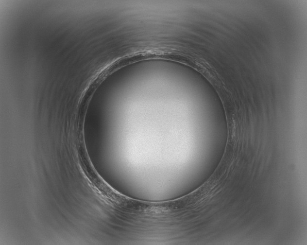 X0000052630444200507011038