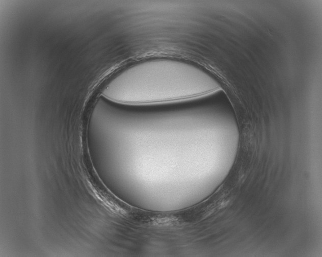 X0000052630446200507011038