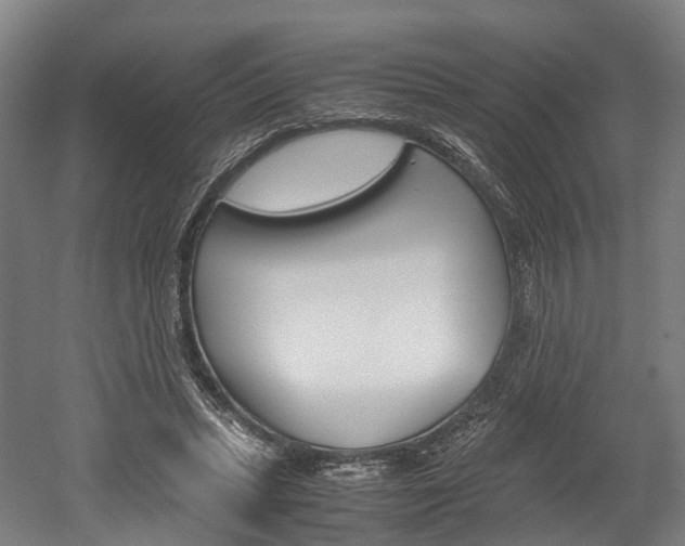 X0000052630447200507011038