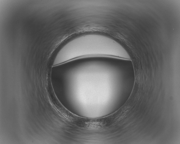 X0000052630448200507011038