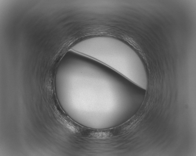 X0000052630449200507011038