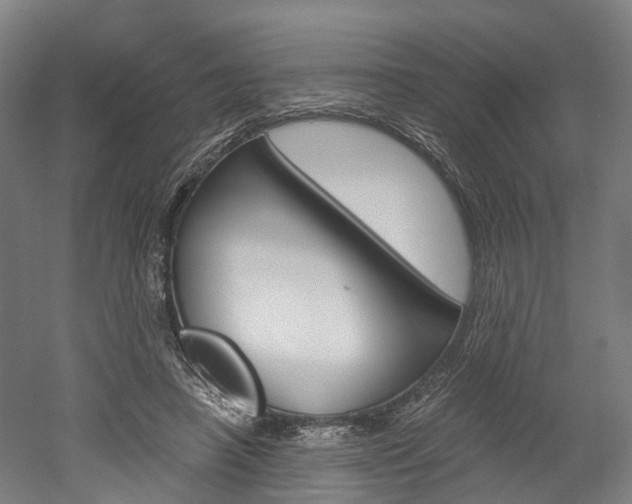 X0000052630450200507011038