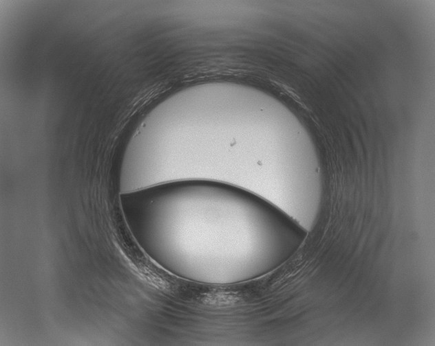 X0000052630451200507011038