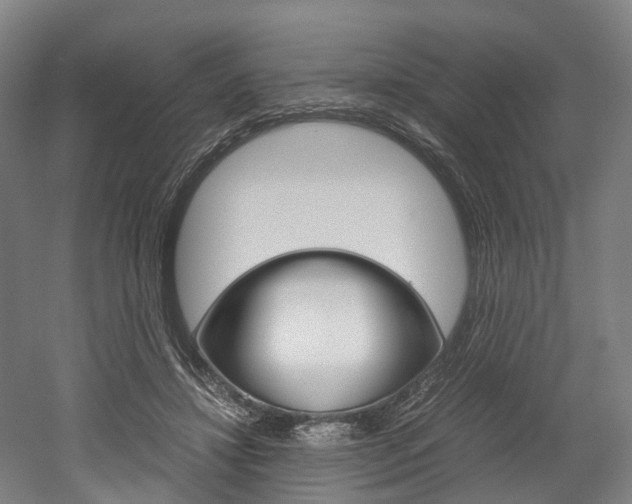 X0000052630452200507011038