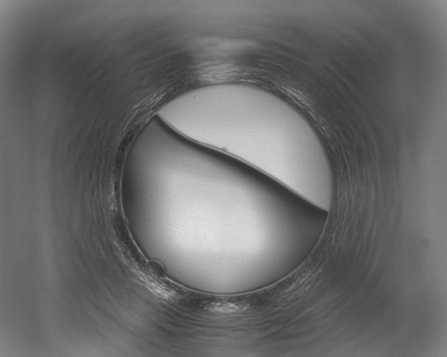 X0000052630453200507011038