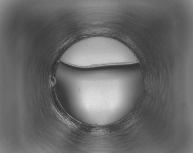X0000052630454200507011038