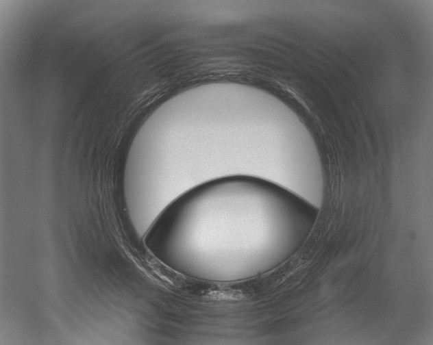 X0000052630455200507011038