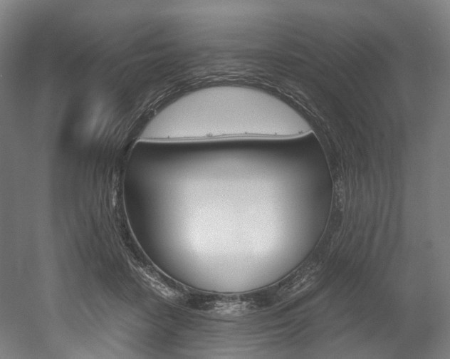X0000052630458200507011038