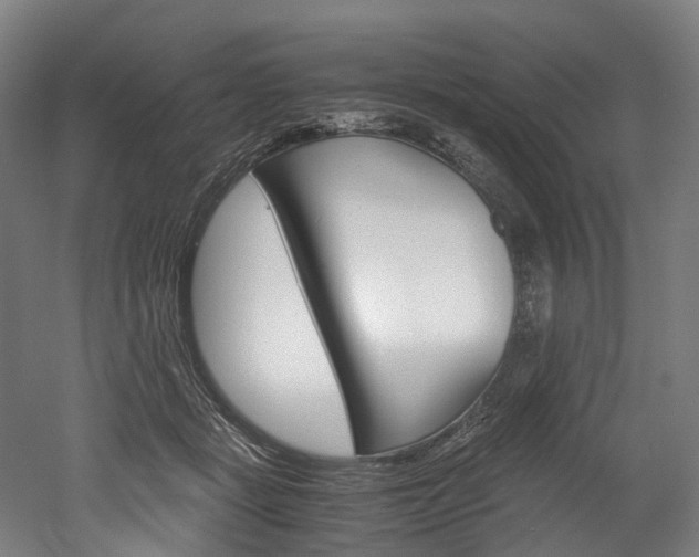 X0000052630461200507011038