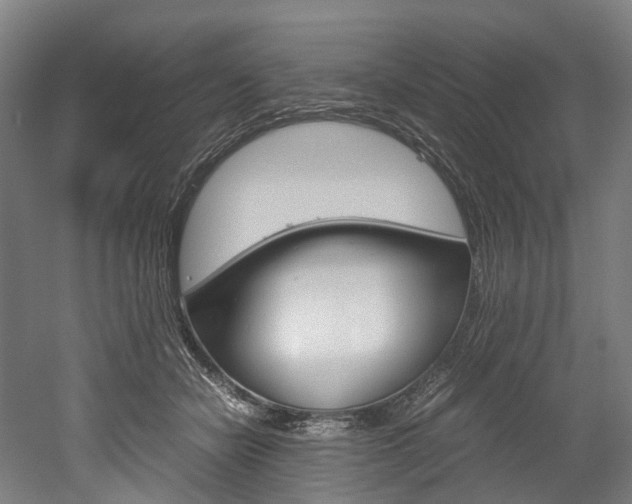 X0000052630462200507011038