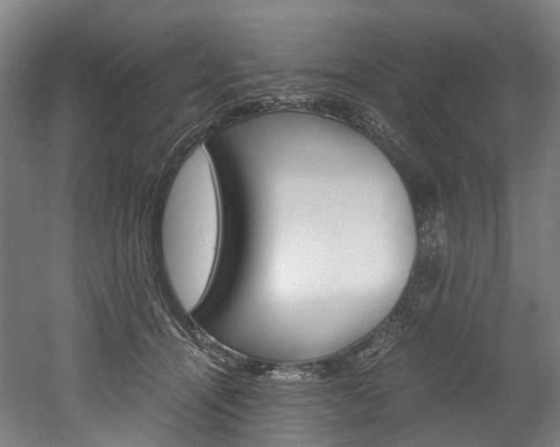 X0000052630464200507011038