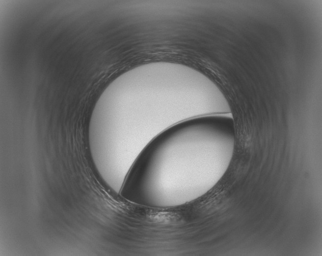 X0000052630467200507011038