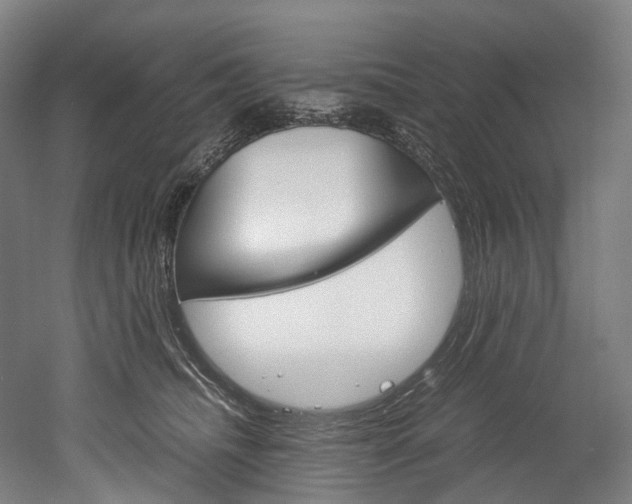 X0000052630468200507011038