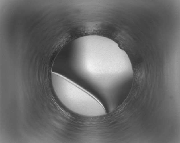 X0000052630470200507011038