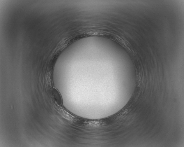 X0000052630473200507011038