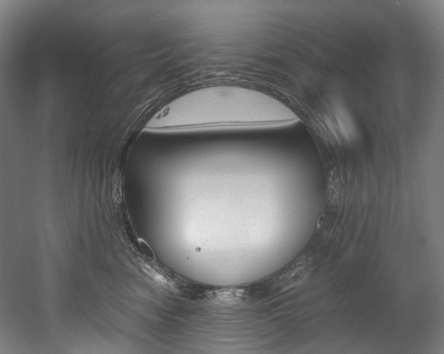 X0000052630474200507011038