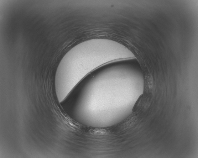 X0000052630475200507011038