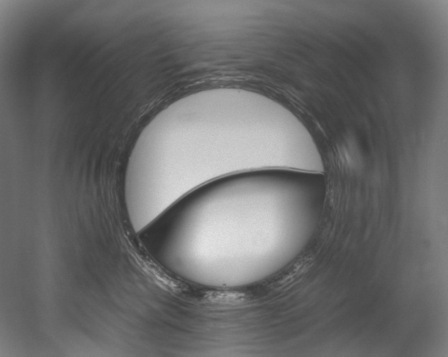 X0000052630476200507011038