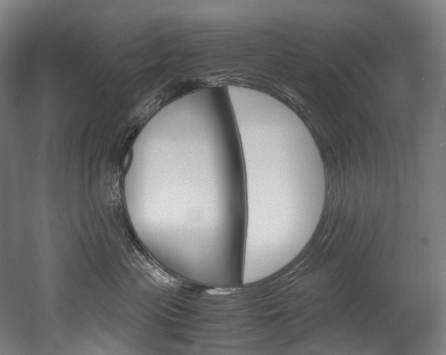 X0000052630477200507011038