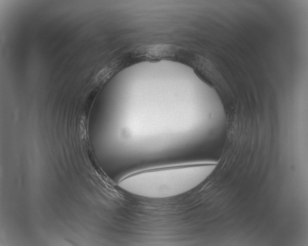 X0000052630478200507011038