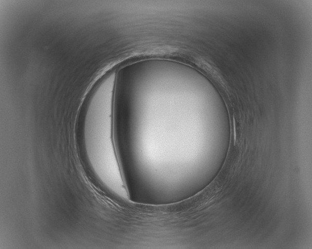 X0000052630483200507011037