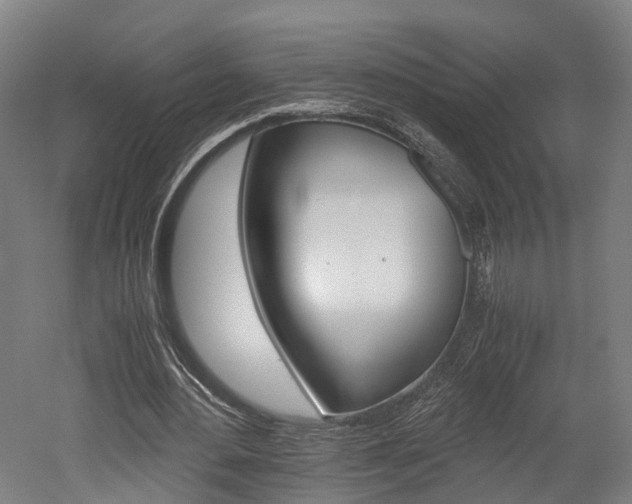 X0000052630484200507011037