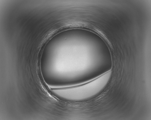 X0000052630485200507011037